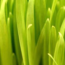 便宜的自助平台推荐的ddos怎么简单攻击一个网站